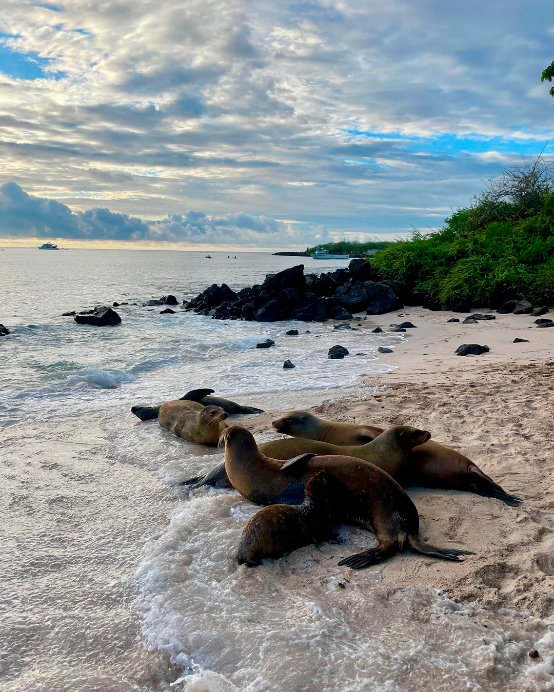 travelgalapagos_1713141080086
