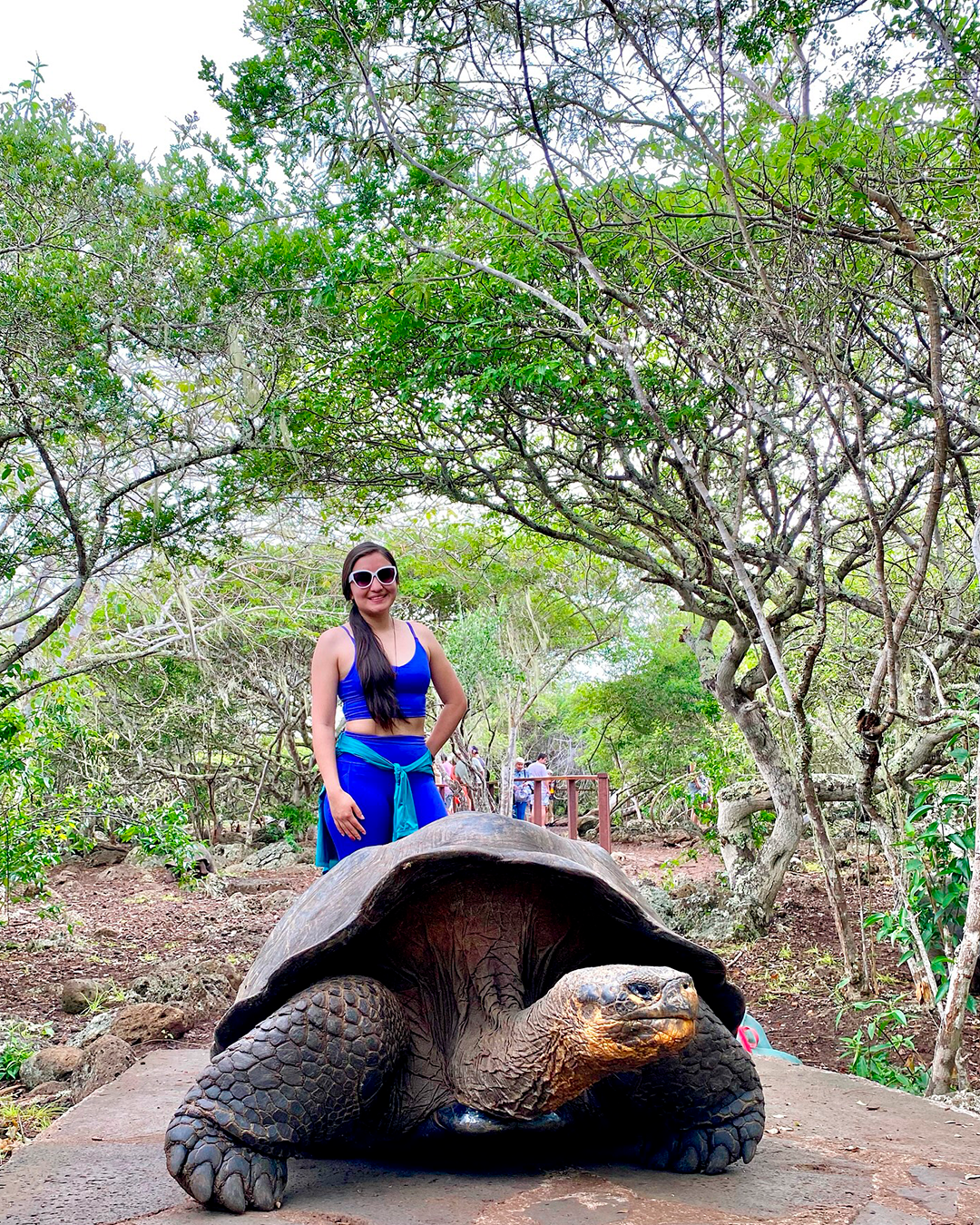 travelgalapagos_1713141094856