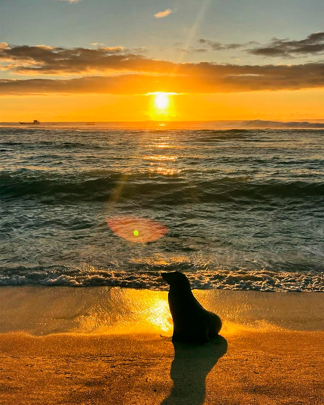 travelgalapagos_1713141108134
