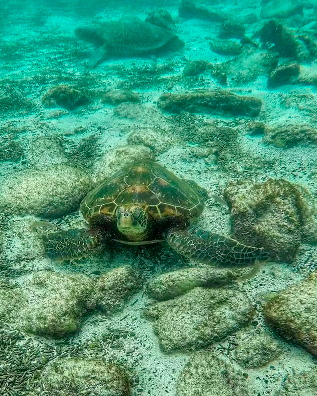 travelgalapagos_1713141173030