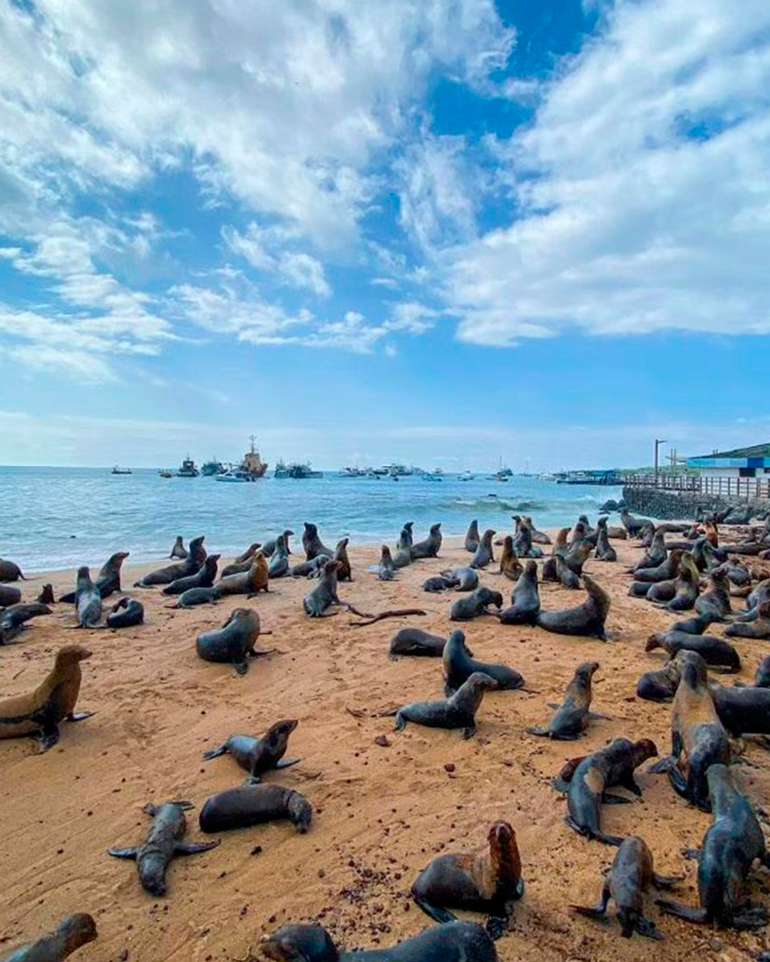 travelgalapagos_1713141177519