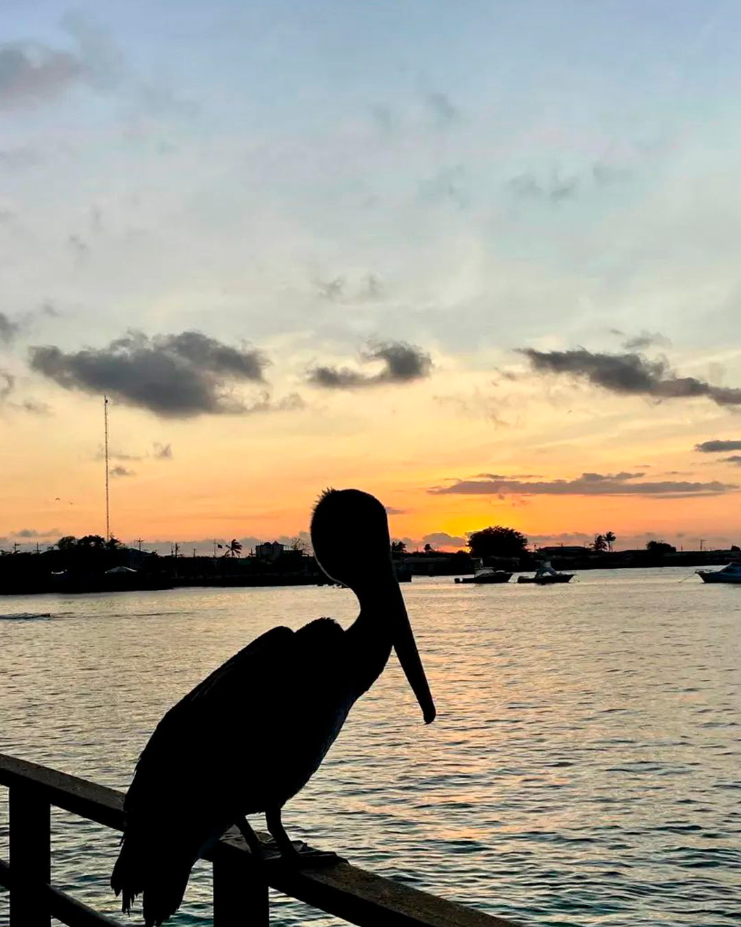 travelgalapagos_1713141195712